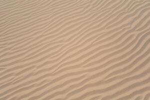 Horizont Oase Antenne Gelassenheit erfasst schön Strand Sand von über, ein still Tapisserie von Küsten Schönheit foto