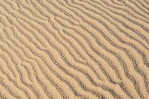 Horizont Oase Antenne Gelassenheit erfasst schön Strand Sand von über, ein still Tapisserie von Küsten Schönheit foto