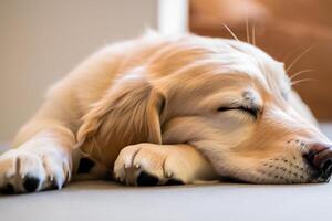 Erfassen das herzerwärmend Ausdruck von ein schön golden Retriever Hund, ein Bild von bedingungslos Liebe und froh Gesellschaft foto