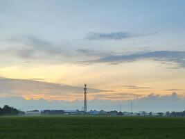 Sonnenaufgang auf das Reis Feld Bereich foto