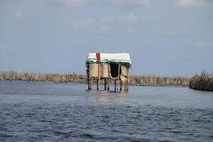 See nokoue ein See im das Süd von Benin, wo Menschen Einmal Lauf Weg von Ein weiterer Stamm und gebaut ihr Häuser auf Stelzen. es ist ebenfalls erwähnt wie das afrikanisch Venedig. foto