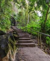 Treppe im das Diprokarp Wald foto