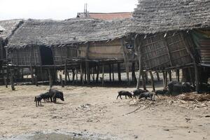 Stelzendorf aguegues im Benin Afrika foto