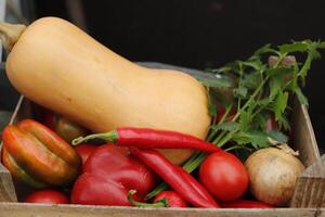 frisch Gemüse gepflückt frisch von das Garten. ein Box von frisch Gemüse foto