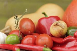 frisch Gemüse gepflückt frisch von das Garten im schließen oben foto