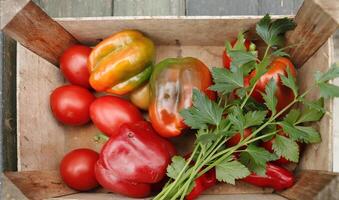 frisch Gemüse gepflückt frisch von das Garten. ein Box von frisch Gemüse foto