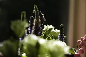 Strauß Weiß Blumen im das Sonnenlicht mit dunkel Hintergrund foto