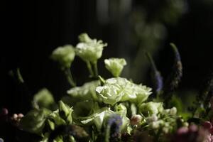 Strauß Weiß Blumen im das Sonnenlicht mit dunkel Hintergrund foto