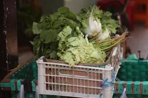 Verkauf Waren von Fahrrad Gemüse Verkäufer im Indonesien foto