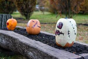 schön Kürbisse zum Halloween foto