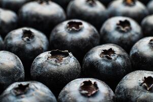 Blaubeeren, Nahaufnahme, Füllung das ganz Rahmen foto