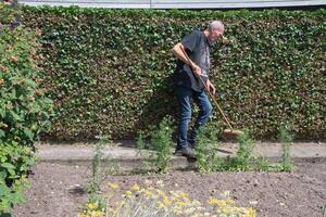 Gärtner fegt klar Wege im das Garten, Arbeiten Mann nimmt Pflege von Gemüse Garten mit Rasen Mäher foto