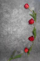 rot Tulpen auf grau Zement Hintergrund Minimalismus oben Sicht, Ostern Dekor, Frühling foto