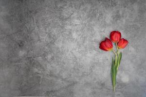 rot Tulpen auf grau Zement Hintergrund Minimalismus oben Sicht, Ostern Dekor, Frühling foto