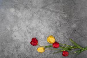 rot Tulpen auf grau Zement Hintergrund Minimalismus oben Sicht, Ostern Dekor, Frühling foto