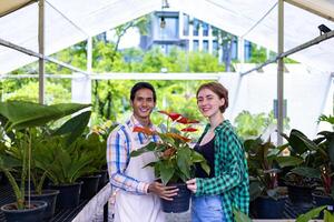 Mannschaft von Vielfalt Garten Arbeitskräfte halten Anthurium Laceleaf Pflanze im ihr tropisch Kindergarten Pflanze Center voll von exotisch Farn Spezies foto
