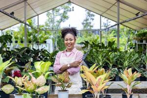 afrikanisch Frau Gärtner ist neigen ihr exotisch Pflanze Pflanze Innerhalb das Gewächshaus zum Regenwald zärtlich klein Topf zum Zier Gartenarbeit und Gartenarbeit im Sommer- foto