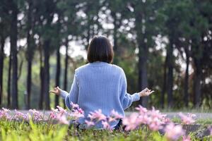 asiatisch Frau ist tun Meditation Mudra im Wald mit Frühling Birne Blume im Blühen Jahreszeit zum innere Frieden, Achtsamkeit und Zen trainieren foto