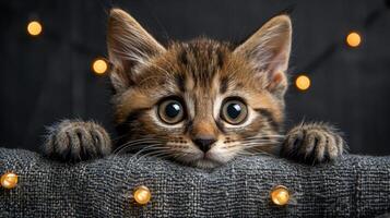 ein spielerisch Kätzchen spähen Über das Kante von ein Couch foto