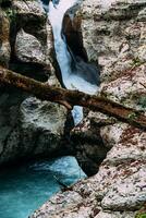 Weiß Felsen Schlucht Urwald und Berg Wald wandern, Chosta Fluss entlang Klippen foto