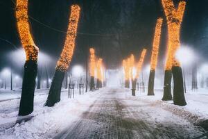 Winter Park beim Nacht mit Weihnachten Dekorationen, glühend Laternen und Bäume bedeckt mit Schnee. Jahrgang Film ästhetisch. foto