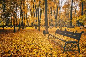 golden Herbst im ein Stadt Park mit Bäume und gefallen Blätter auf ein wolkig Tag. Jahrgang Film ästhetisch. foto