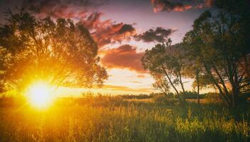 Sonnenuntergang oder Sonnenaufgang auf ein Feld mit wild Lupinen und Wildblumen und dramatisch wolkig Himmel im Sommer. Jahrgang Film ästhetisch. foto