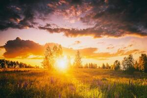 Sonnenuntergang oder Sonnenaufgang auf ein Feld mit wild Lupinen und Wildblumen und dramatisch wolkig Himmel im Sommer. Jahrgang Film ästhetisch. foto