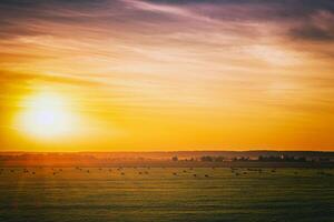 ein Feld mit Heuhaufen auf ein Sommer- oder früh Herbst Abend mit ein wolkig Himmel im das Hintergrund. Beschaffung von Tier Futter im Landwirtschaft. Jahrgang Film ästhetisch. foto