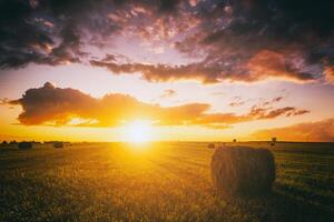 Sonnenuntergang im ein Feld mit Heuhaufen auf ein Sommer- oder früh Herbst Abend mit ein wolkig Himmel im das Hintergrund. Beschaffung von Tier Futter im Landwirtschaft. Jahrgang Film ästhetisch. foto