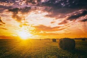 Sonnenuntergang im ein Feld mit Heuhaufen auf ein Sommer- oder früh Herbst Abend mit ein wolkig Himmel im das Hintergrund. Beschaffung von Tier Futter im Landwirtschaft. Jahrgang Film ästhetisch. foto