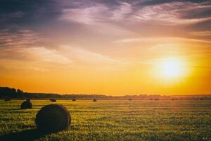 ein Feld mit Heuhaufen auf ein Sommer- oder früh Herbst Abend mit ein wolkig Himmel im das Hintergrund. Beschaffung von Tier Futter im Landwirtschaft. Jahrgang Film ästhetisch. foto