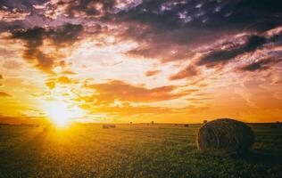 Sonnenuntergang im ein Feld mit Heuhaufen auf ein Sommer- oder früh Herbst Abend mit ein wolkig Himmel im das Hintergrund. Beschaffung von Tier Futter im Landwirtschaft. Jahrgang Film ästhetisch. foto