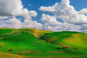 Hügel und Berge bedeckt mit jung Grün Gras und beleuchtet durch das Sonne auf ein sonnig Tag. foto