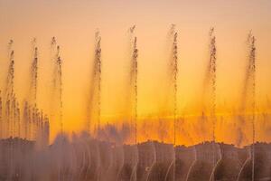 groß Brunnen auf das künstlich Teich, beleuchtet durch Sonnenlicht beim Sonnenuntergang im Taschkent Stadt Park beim Sommer. foto