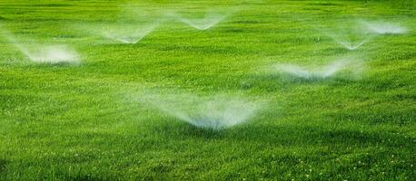 automatisch Rasen Bewässerung System Bewässerung das jung Grün Rasen Gras im das Park. foto