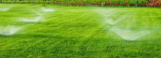 automatisch Rasen Bewässerung System Bewässerung das jung Grün Rasen Gras im das Park. foto