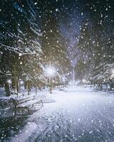 Schneefall im ein Winter Park beim Nacht mit glühend Laternen, Pflaster bedeckt mit Schnee und Bäume. Jahrgang Film ästhetisch. foto