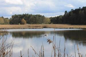 Natur Hintergrund Foto