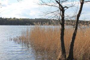 Natur Hintergrund Foto