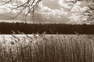 Natur Hintergrund Foto