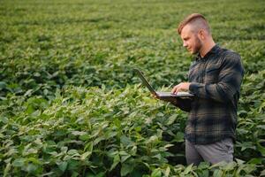 jung Agronom hält Tablette berühren Pad Computer im das Soja Feld und Prüfung Pflanzen Vor Ernte. Landwirtschaft Konzept. landwirtschaftlich Ingenieur Stehen im ein Soja Feld mit ein Tablette im Sommer. foto