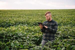 Agronom inspizieren Soja Bohne Pflanzen wachsend im das Bauernhof Feld. Landwirtschaft Produktion Konzept. Landwirtschaft Konzept. landwirtschaftlich Ingenieur Stehen im ein Soja Feld foto