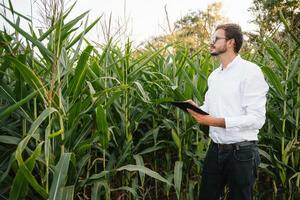 jung Agronom hält Tablette berühren Pad Computer im das Soja Feld und Prüfung Pflanzen Vor Ernte. Landwirtschaft Konzept. landwirtschaftlich Ingenieur Stehen im ein Soja Feld mit ein Tablette im Sommer. foto