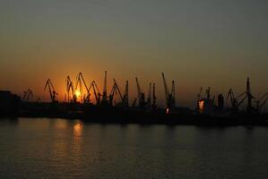 Ladung Kräne im das Seehafen. foto