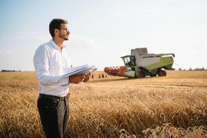 glücklich Farmer im das Feld Überprüfung Mais Pflanzen während ein sonnig Sommer- Tag, Landwirtschaft und Essen Produktion Konzept. foto