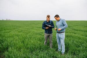 zwei Farmer Stehen im ein Weizen Feld und suchen beim Notizbuch, Sie sind Prüfung Corp. jung gut aussehend Agronom. Landwirtschaft Konzept. landwirtschaftlich Ingenieur Stehen im ein Weizen Feld. foto