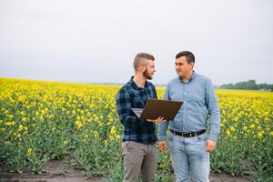 zwei Farmer Stehen im ein vergewaltigen Feld und suchen beim Laptop, Sie sind Prüfung Corp. jung gut aussehend Agronom. Landwirtschaft Konzept. landwirtschaftlich Ingenieur Stehen im ein vergewaltigen Feld. foto