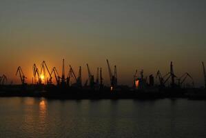 Ladung Kräne im das Seehafen. foto