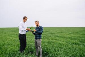zwei Farmer Stehen im ein Weizen Feld und suchen beim Tablette, Sie sind Prüfung Corp. jung gut aussehend Agronom. Landwirtschaft Konzept. landwirtschaftlich Ingenieur Stehen im ein Weizen Feld. foto